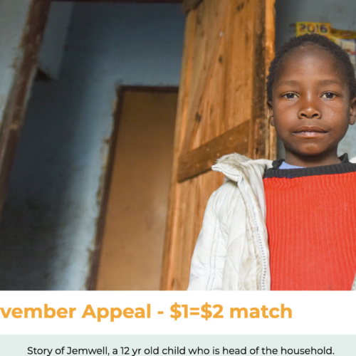 November 2023 Appeal - Key Words: $1=$2 Match, Jemwell